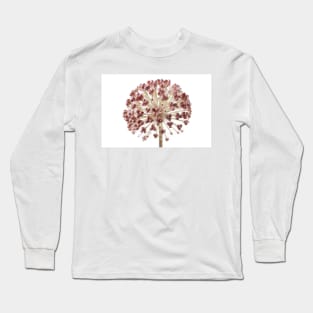 Allium karataviense   AGM  Kara Tau garlic  Seed heads Long Sleeve T-Shirt